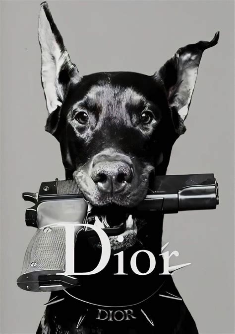 dior hond|dior online shopping.